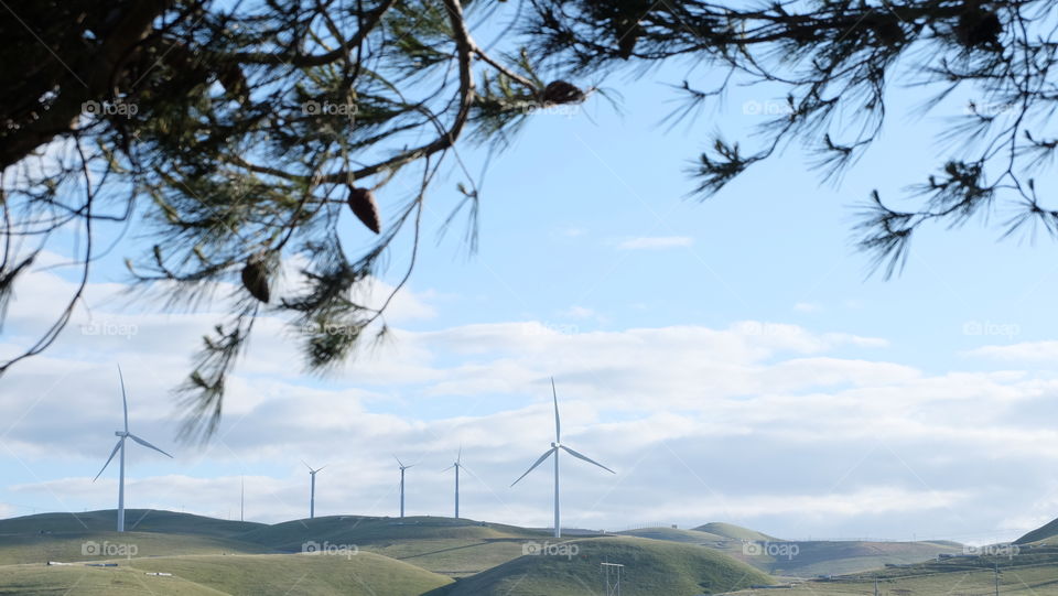 Wind Energy, A Renewable Resource