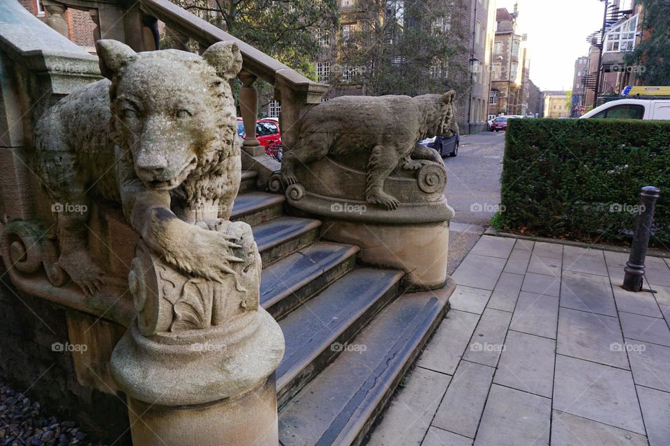 From the ground looking at some bear statues 