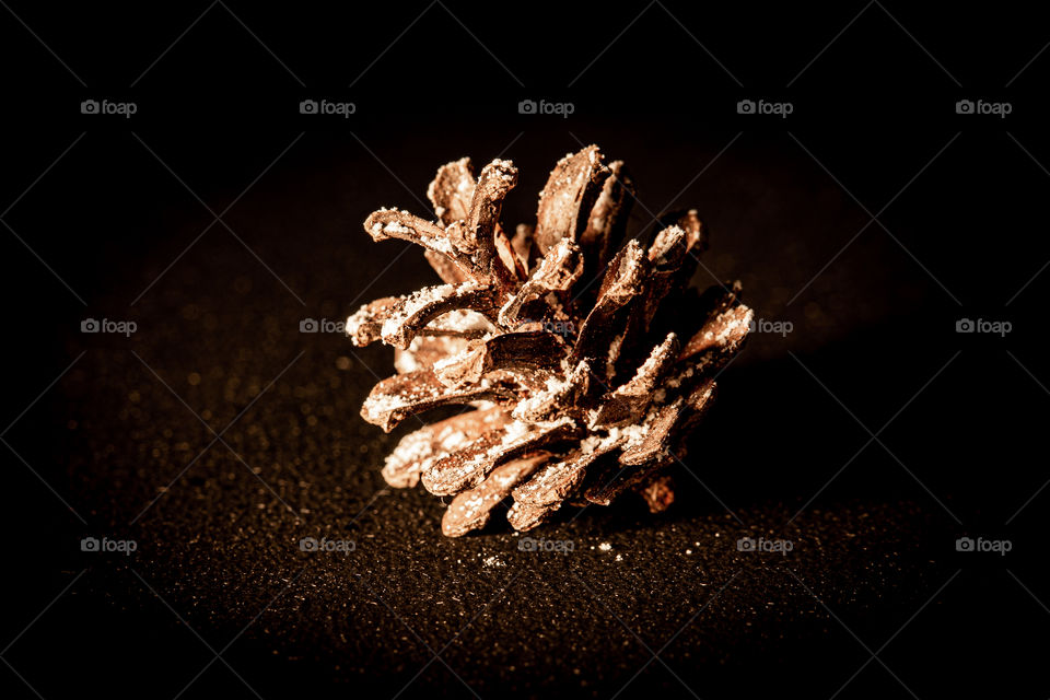 close up of a pinecone