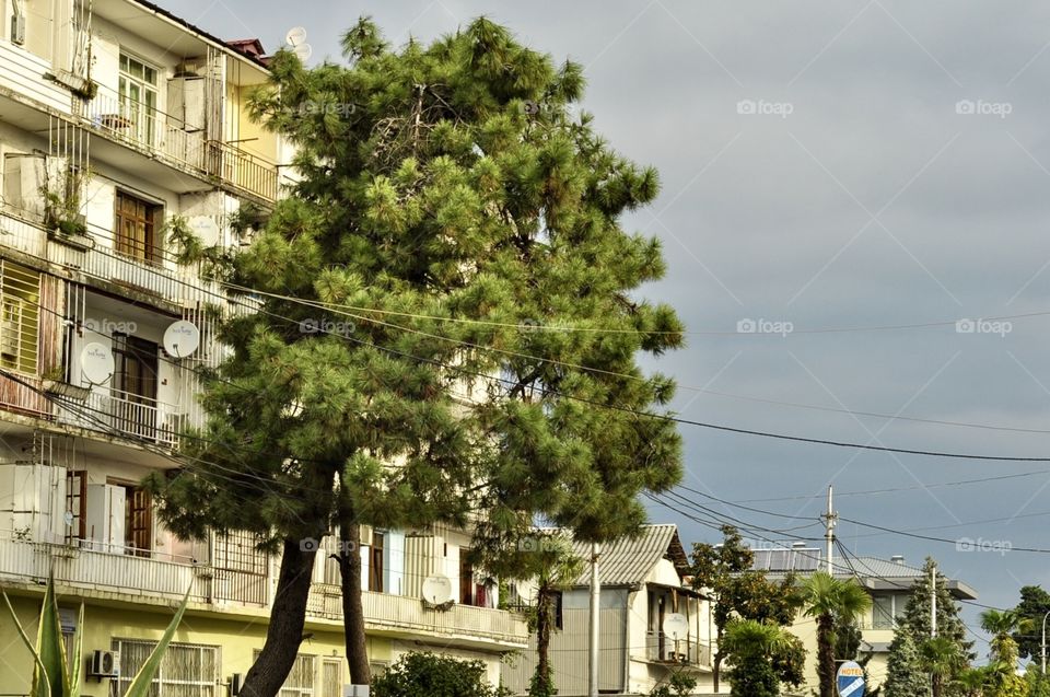 House, Architecture, Building, Street, Home