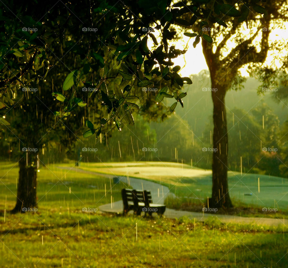 Empty bench in park