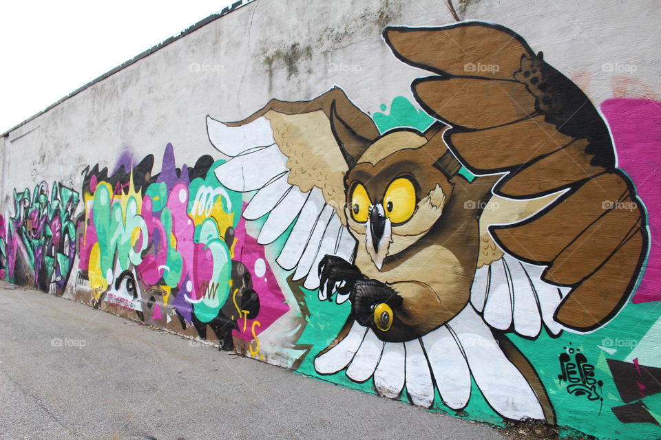 Graffiti owl.