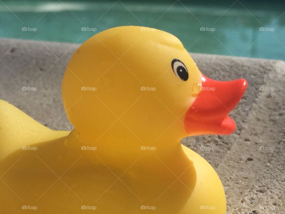 Rubber Ducky