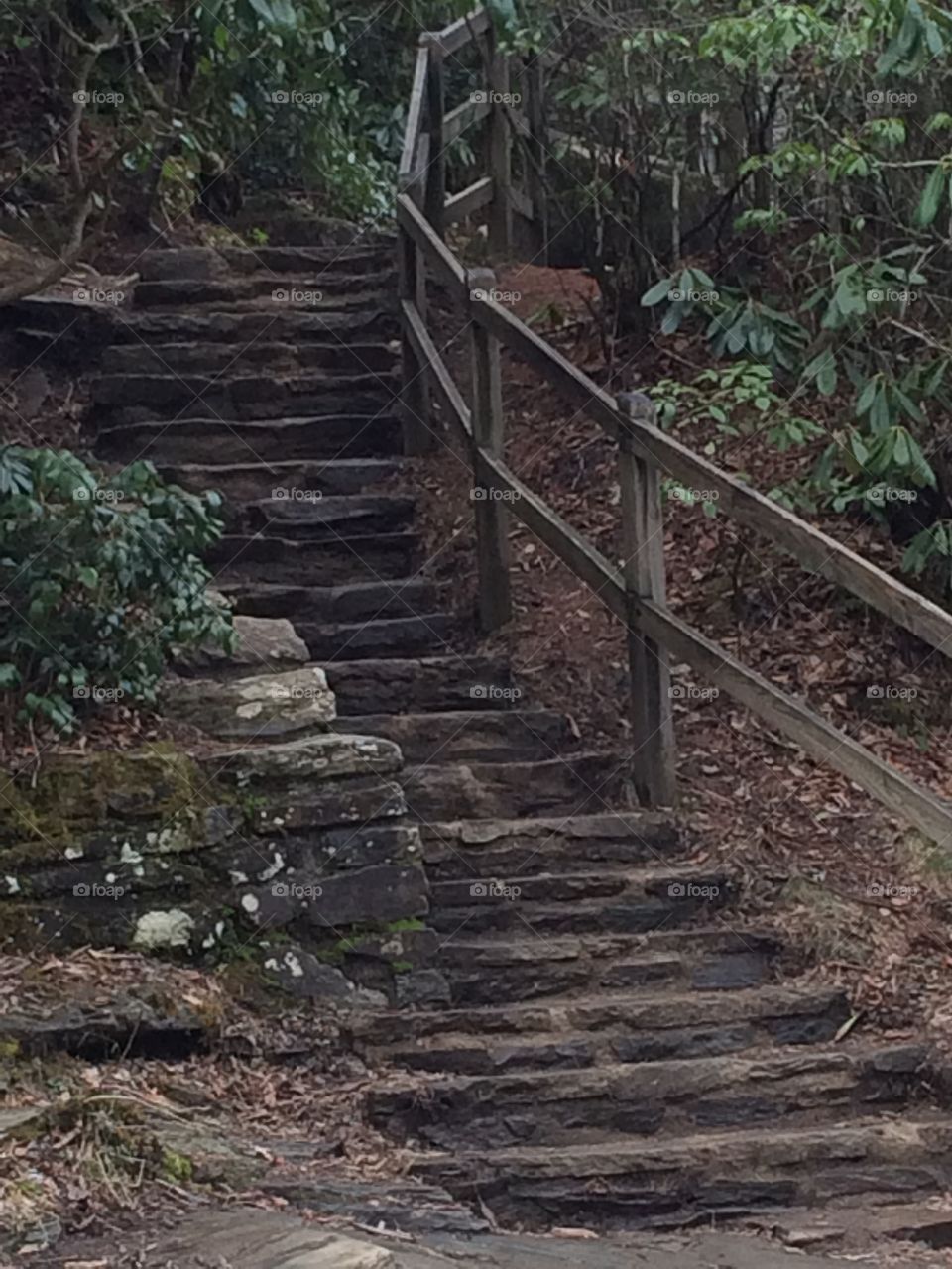 Trail stairs