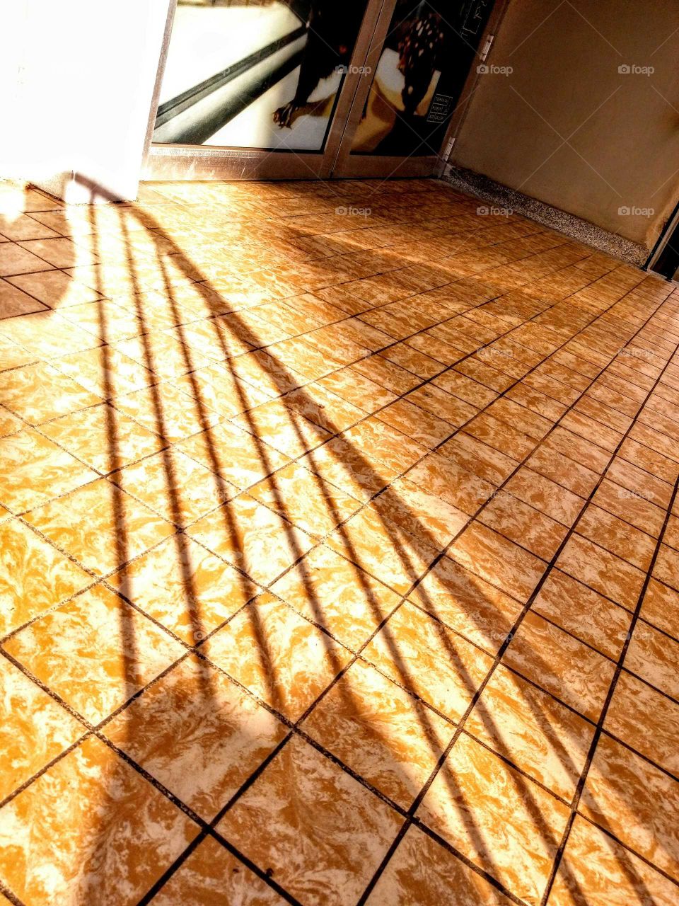 shadow pattern of stair railings