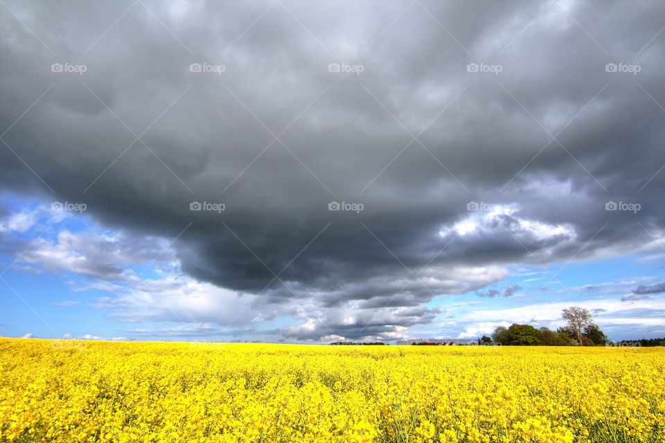 Dark cloud over Field