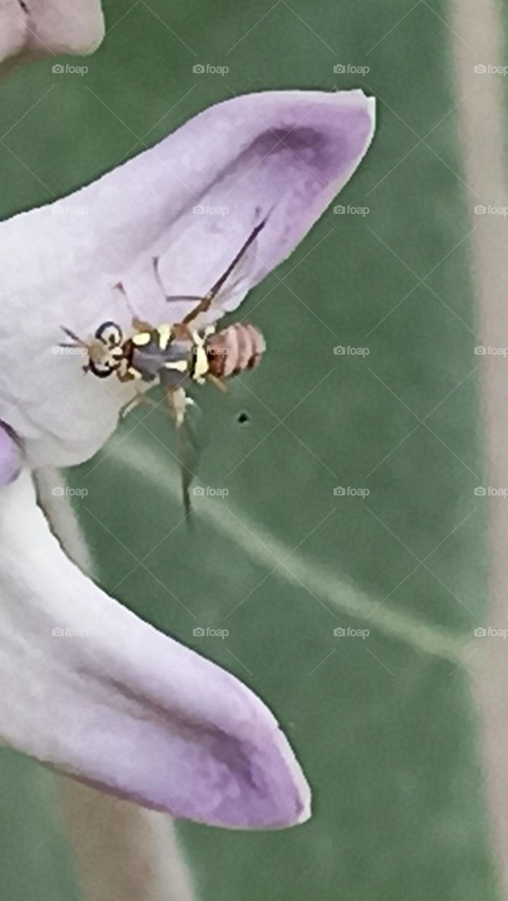 watching in the camera for his shot in a poss