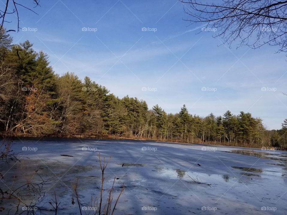 beautiful winter frosted lake