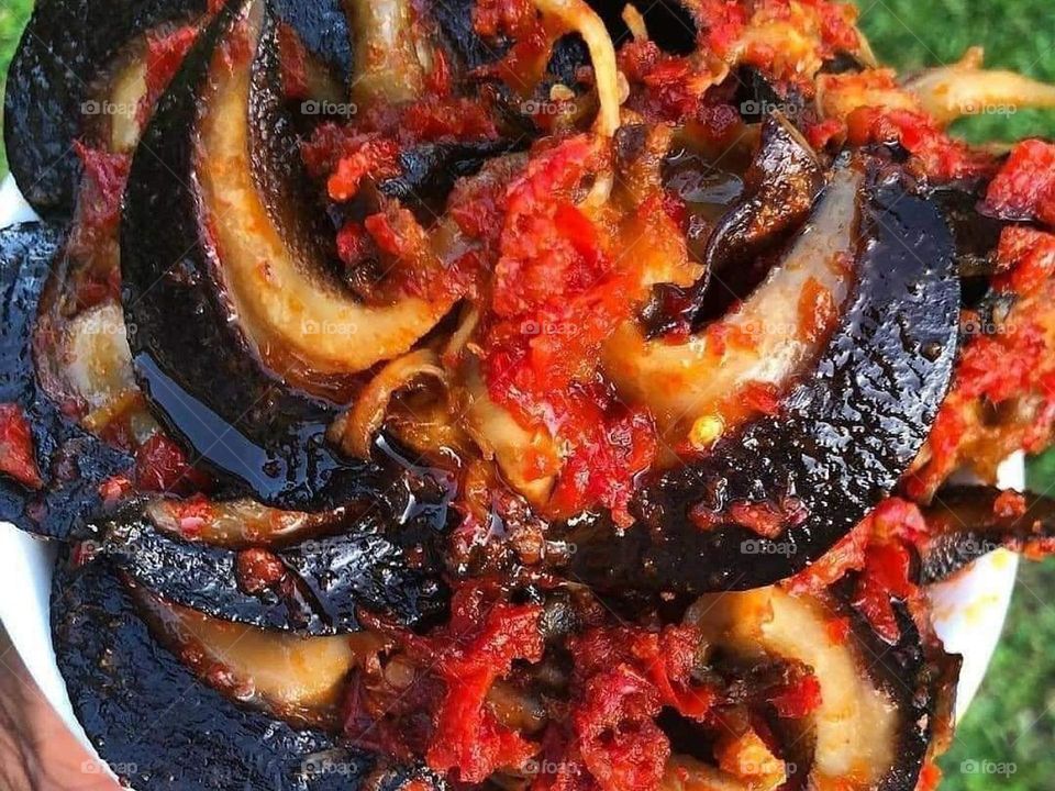 Home made Snail 🐌