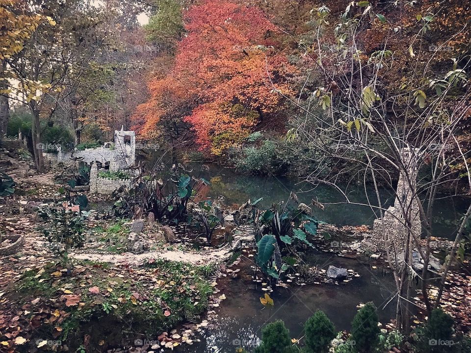 Fall Colors Everywhere