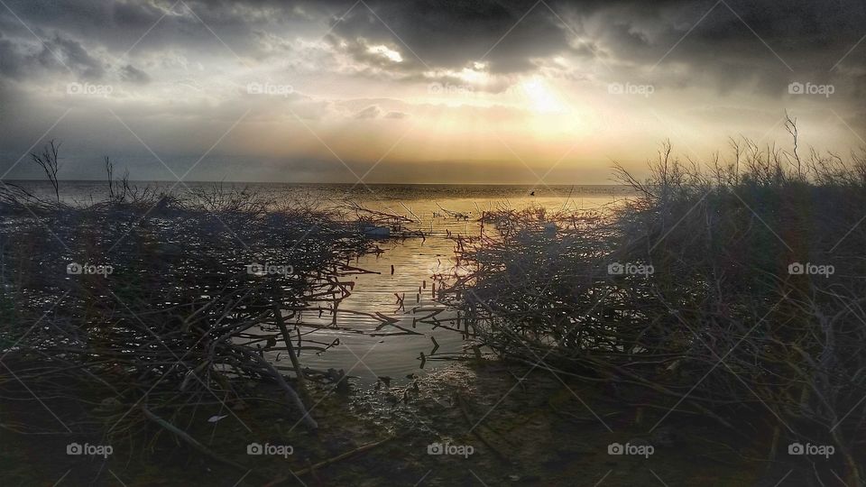 the water Jesus walked on