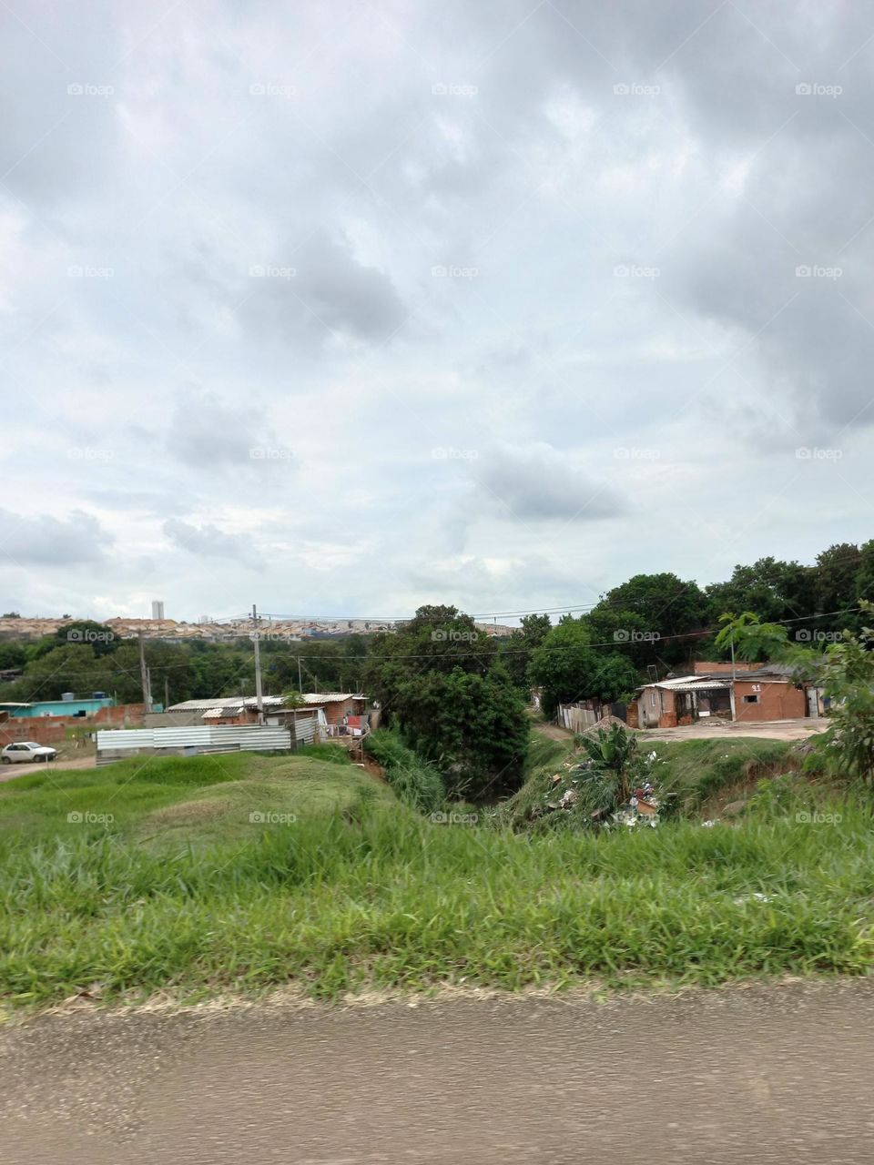 A arborização  nos centos urbanos. As árvores proporcionam  ás cidades inúmeros  benefícios,  relacionados  à estabilidade climática.  As árvores amenizam a temperatura e a poluição  sonora e, aumentam a umidade relativa do ar e melhora sua qualidade