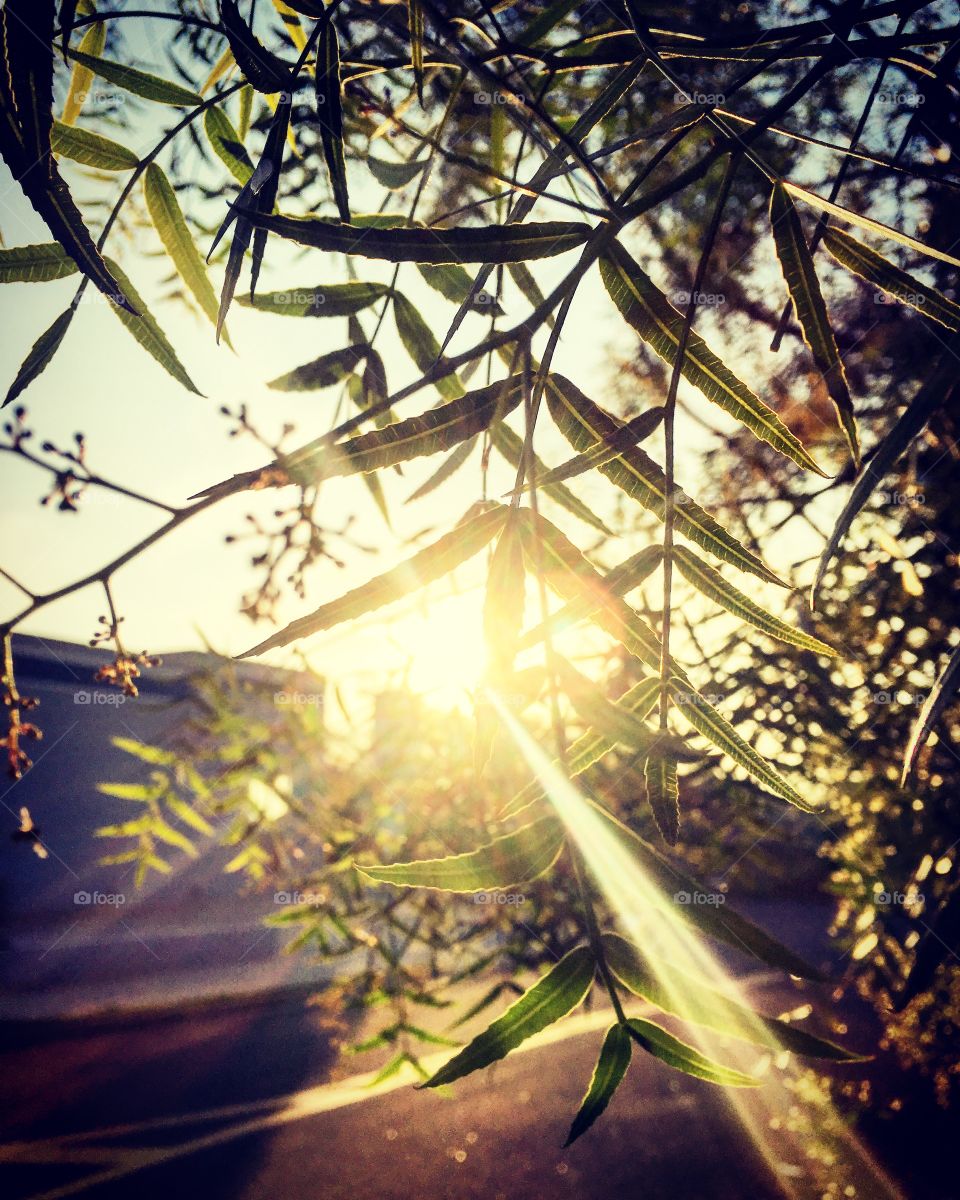 🌄#Entardecer que nos traz motivação!
Como não se inspirar com a beleza da #natureza?
📸 
#fotografia #sol #sun #sky #céu #nature #horizonte #paisagem #landscape #inspiração #mobgrafia #XôStress
#FotografiaÉNossoHobby