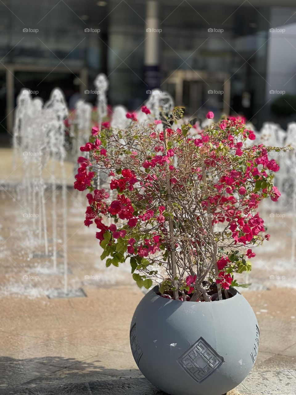 Flowers beside water fountain 