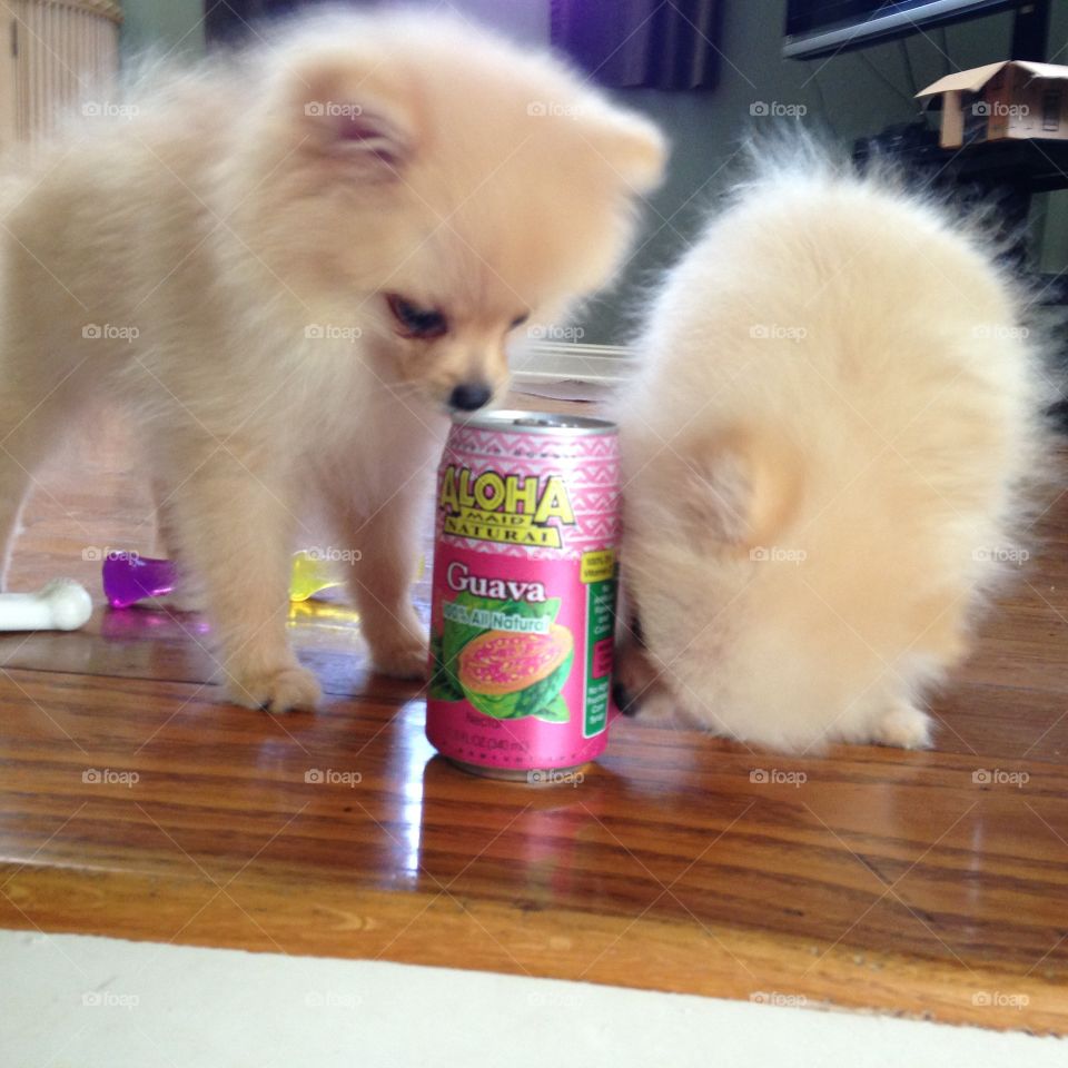 How do you open this?