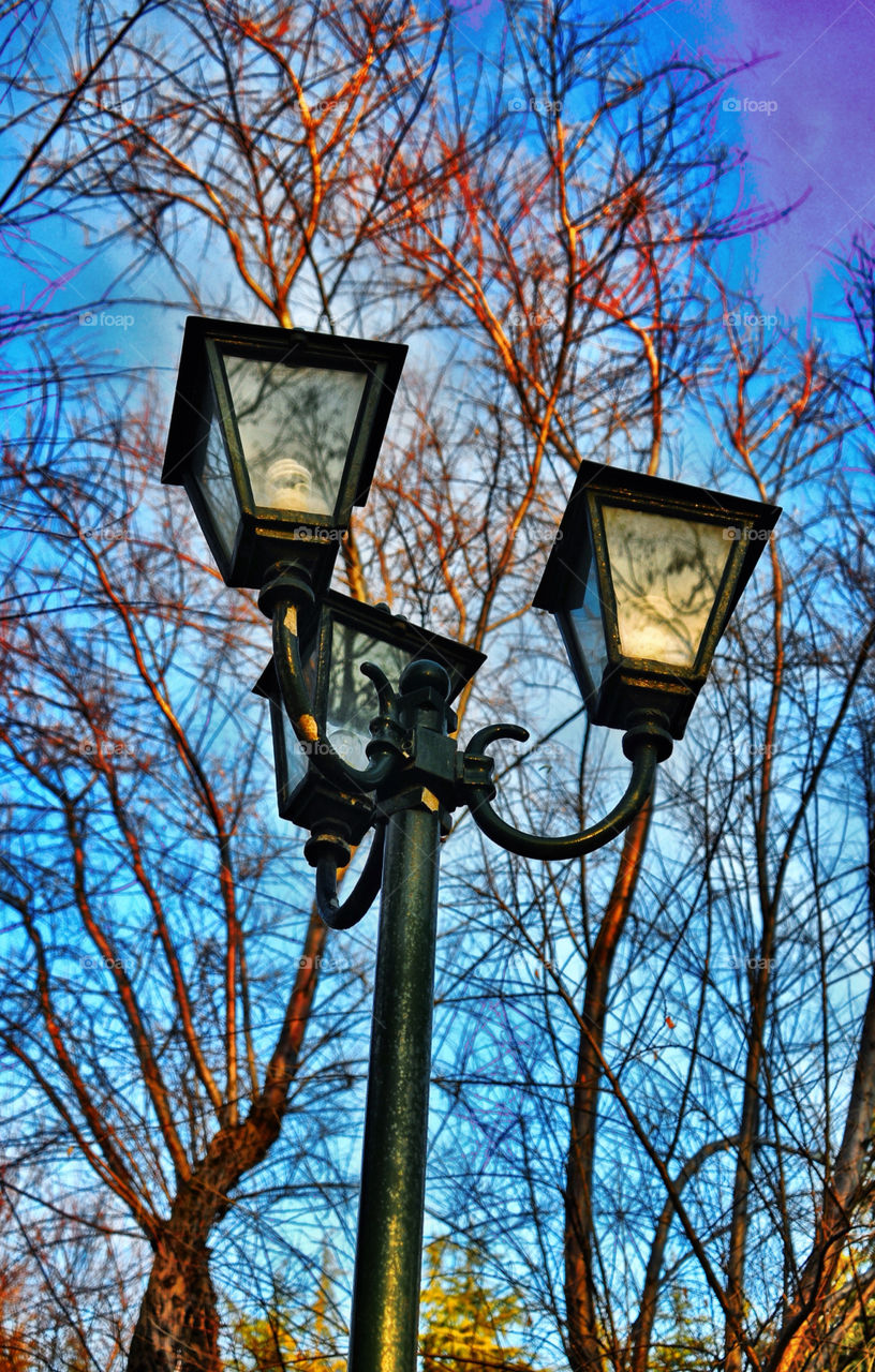 Lamp reflection