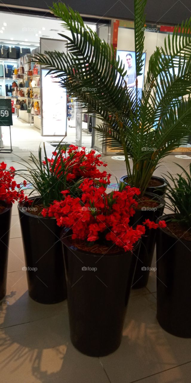 Singular and beautiful