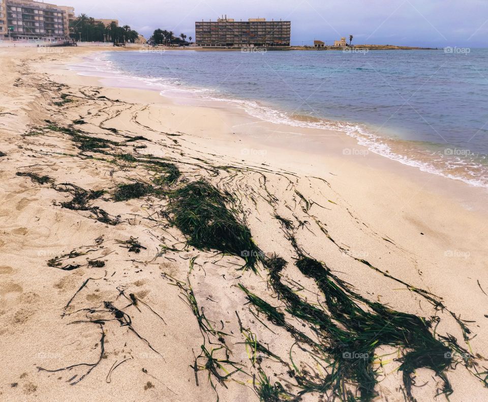 White sandy beach with seaweed