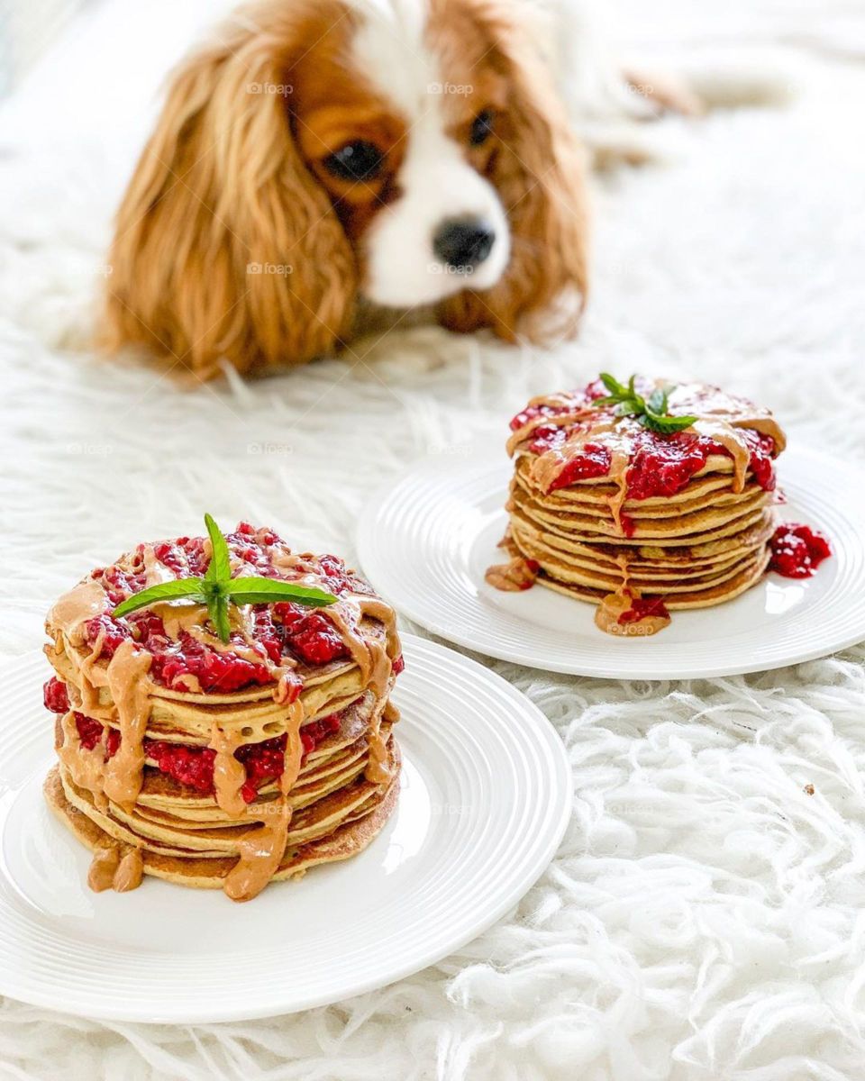 making pancakes with dog