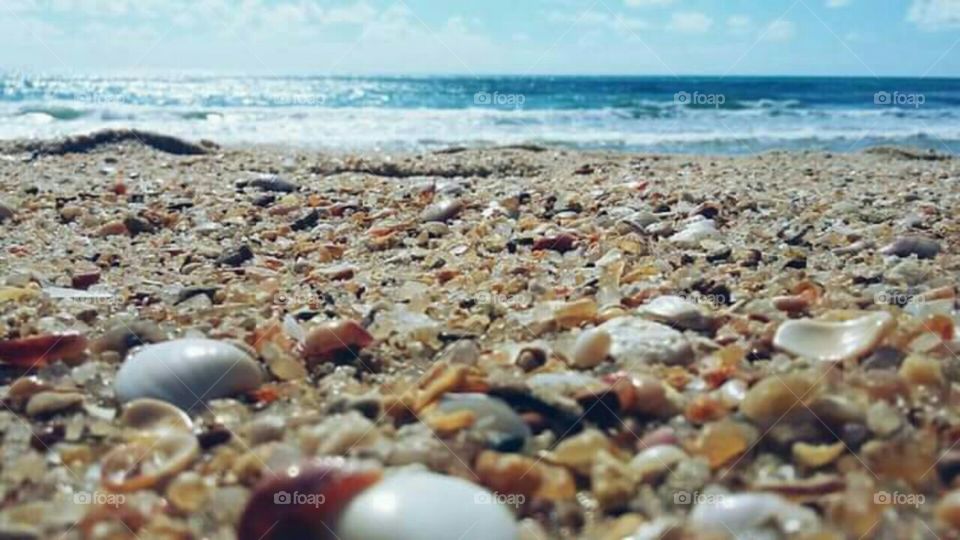 Conchas na Praia - Praia de Iracema Fortaleza