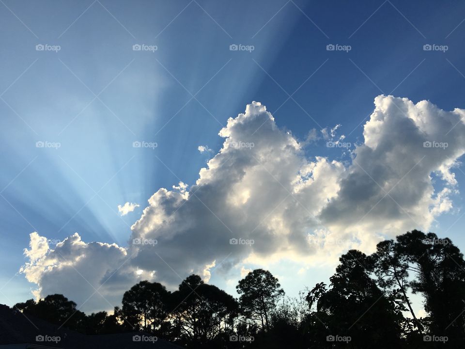 Sun rays 