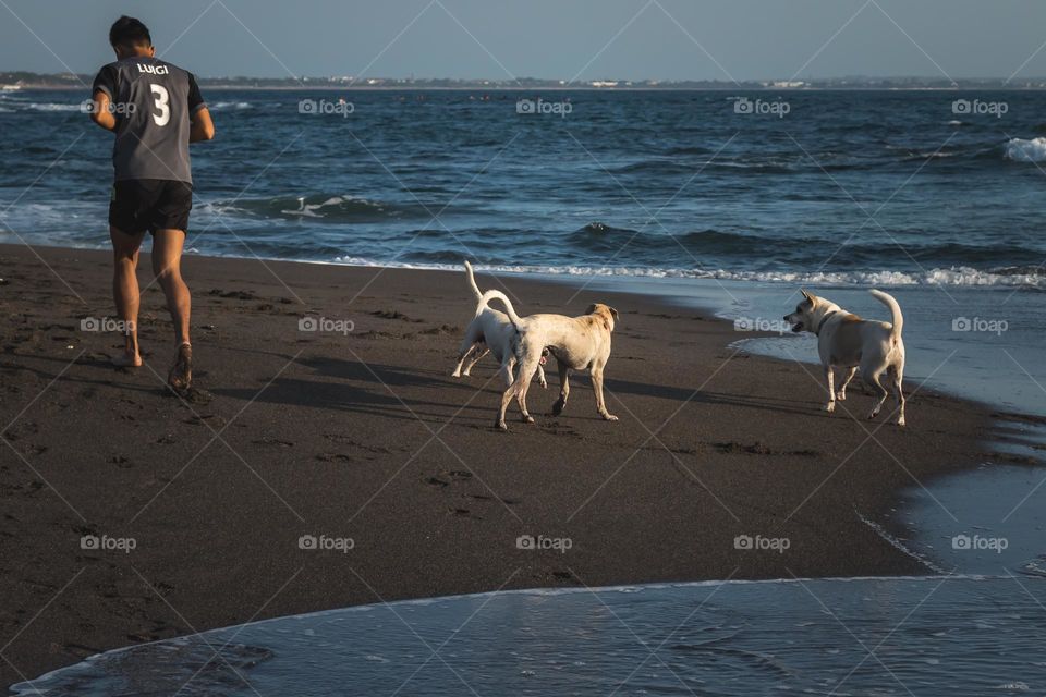 A man running together with his dogs on the beach during sunset time in Bali, Indonesia