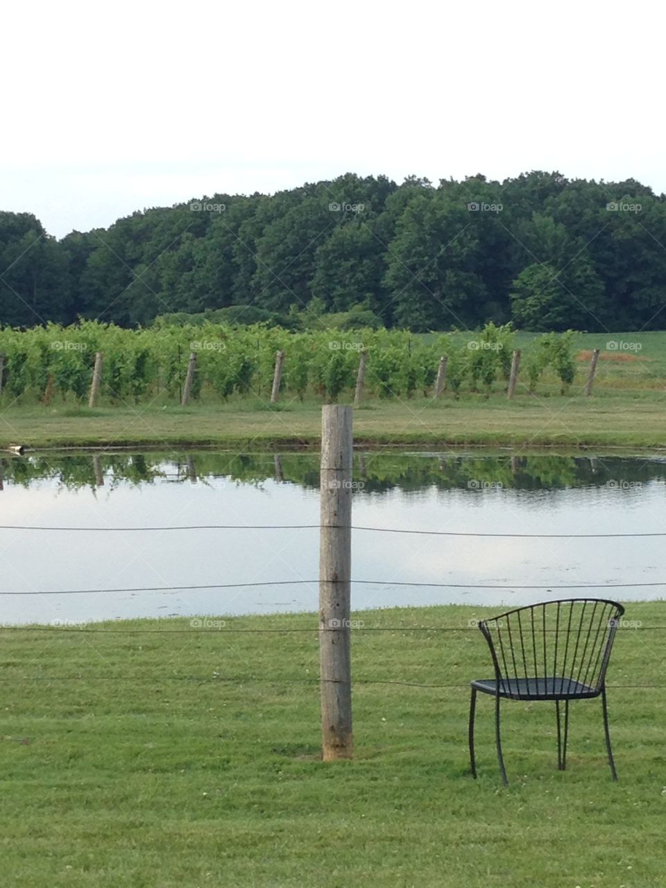 Vineyard chair, Ferrante's Winery, Harpersfield,Ohio