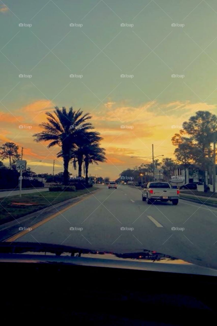 Florida Evening Views🌞