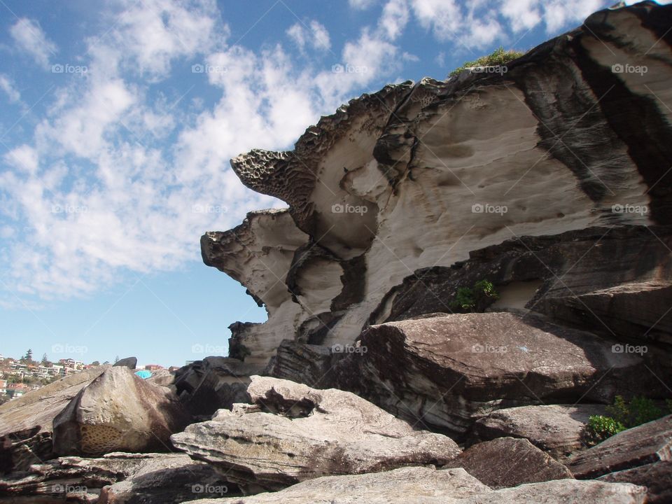 Bondi to Bronte walk