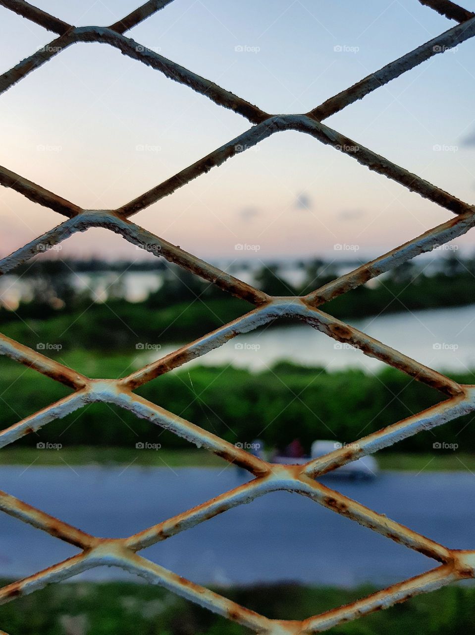 Steel fence and landscape
