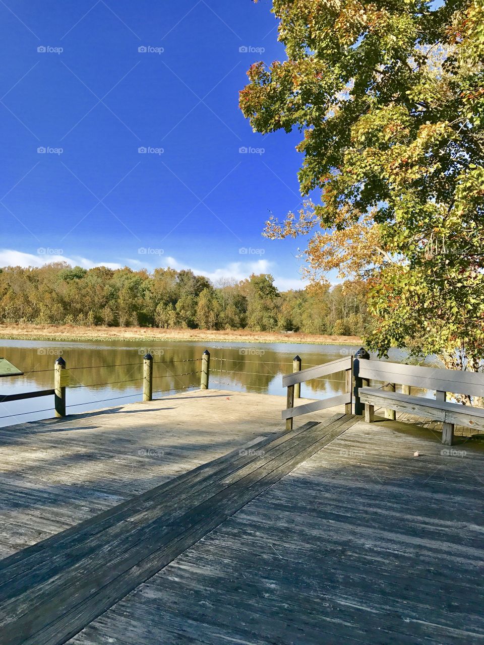 Reflection pond