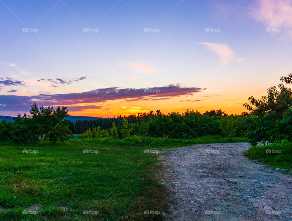 Sunsets are not a rare commodity they come and go every night, so I compare you not to a sunset for you come once in a life