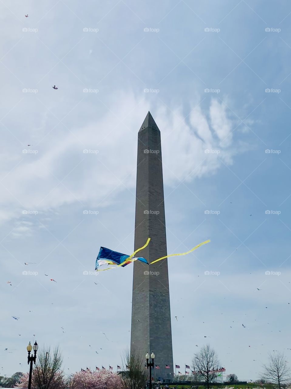 Kite festival in Washington DC 
