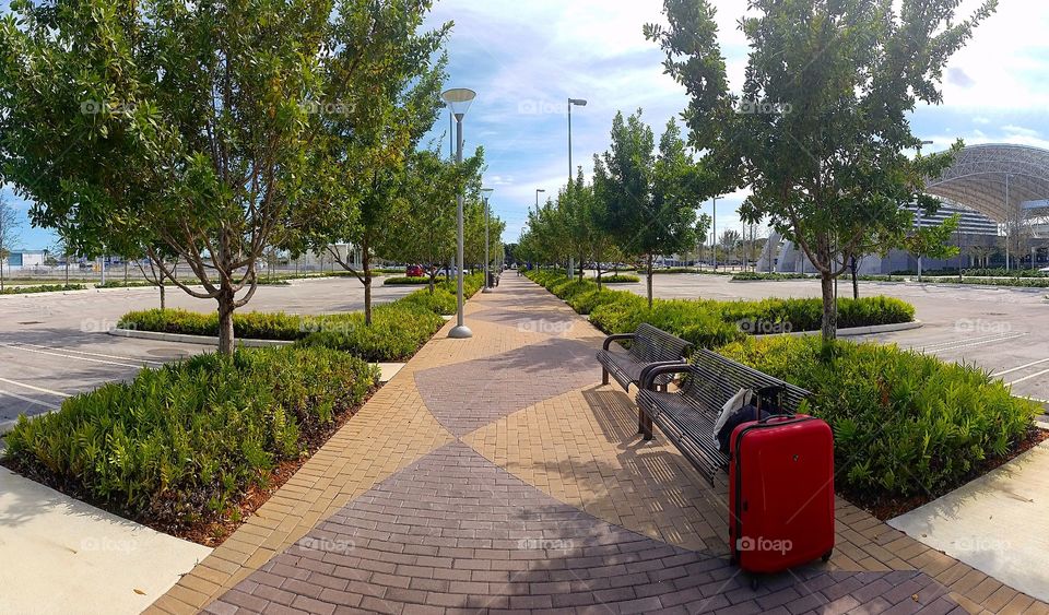 Luggages in the park