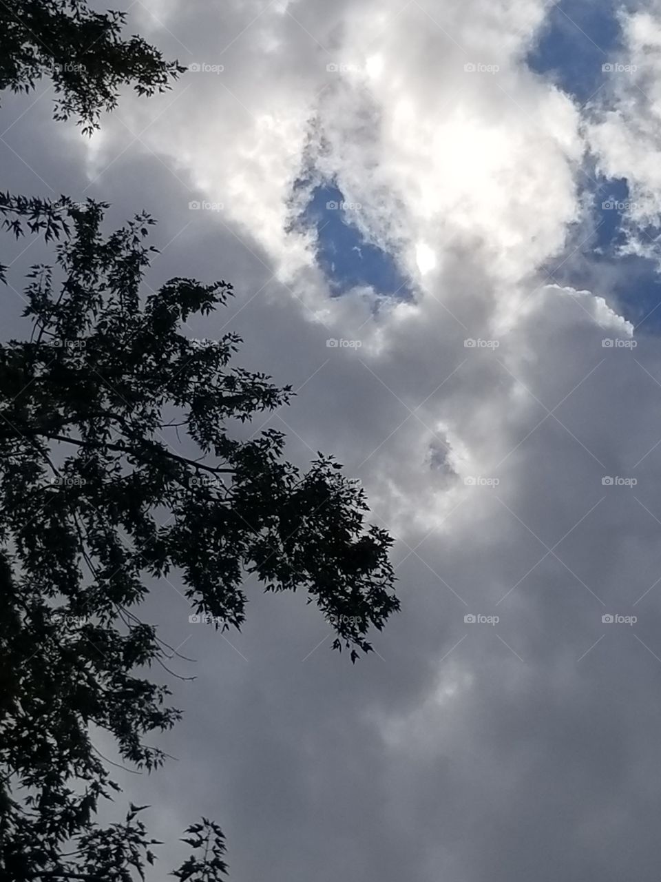 Niagara Falls weather