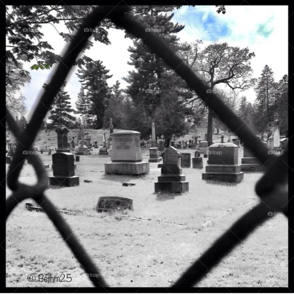 Graveyard 