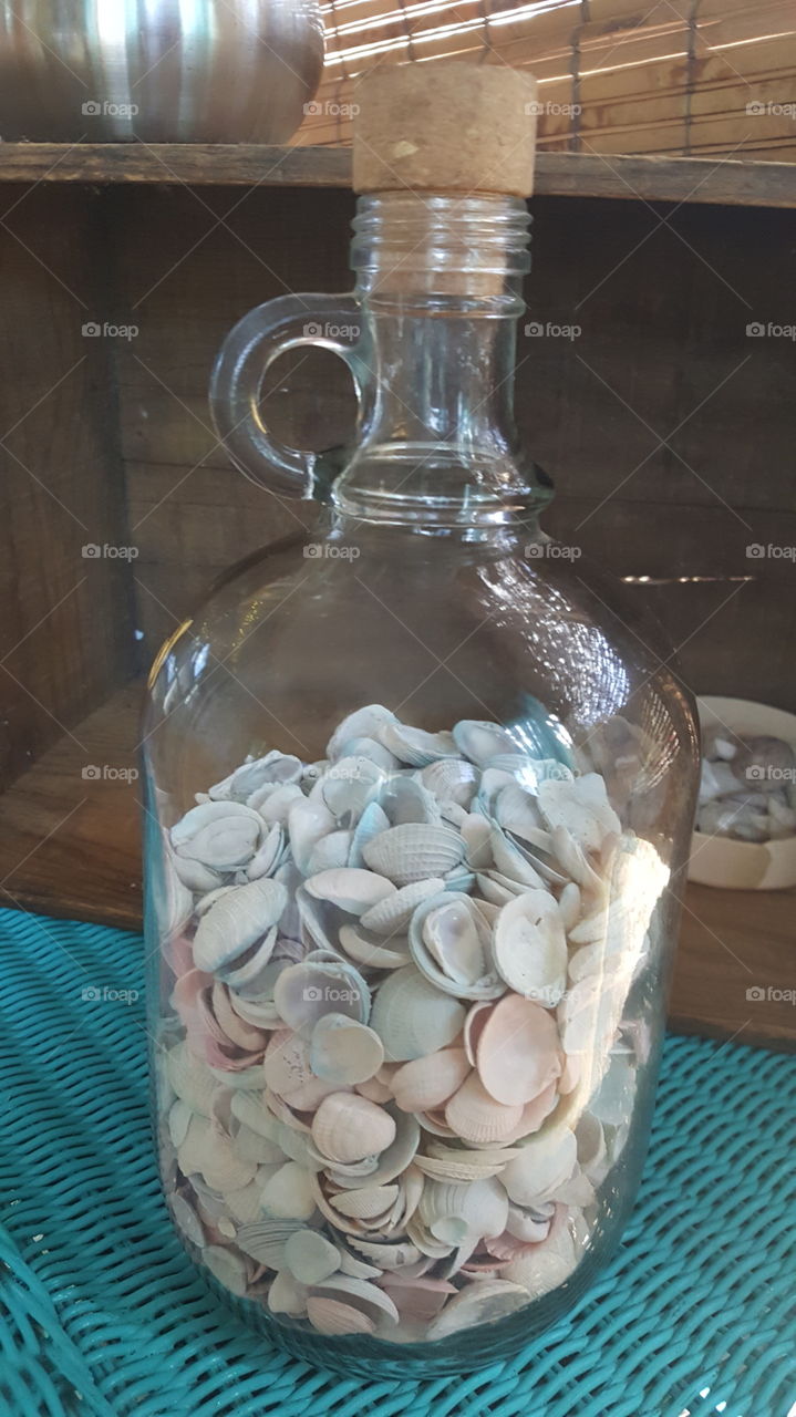 shells In a bottle