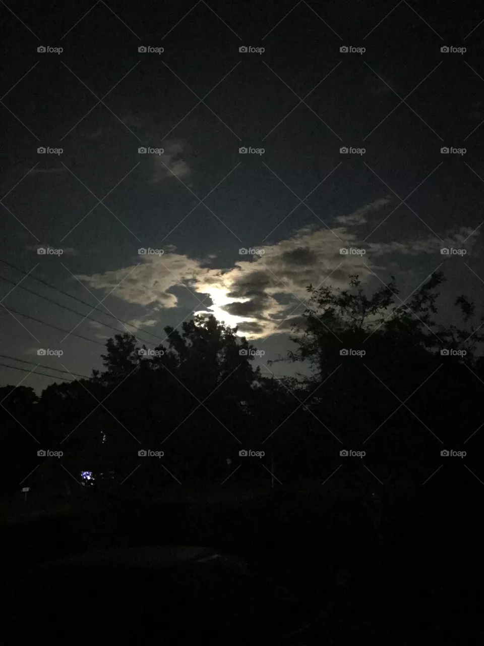 The moon