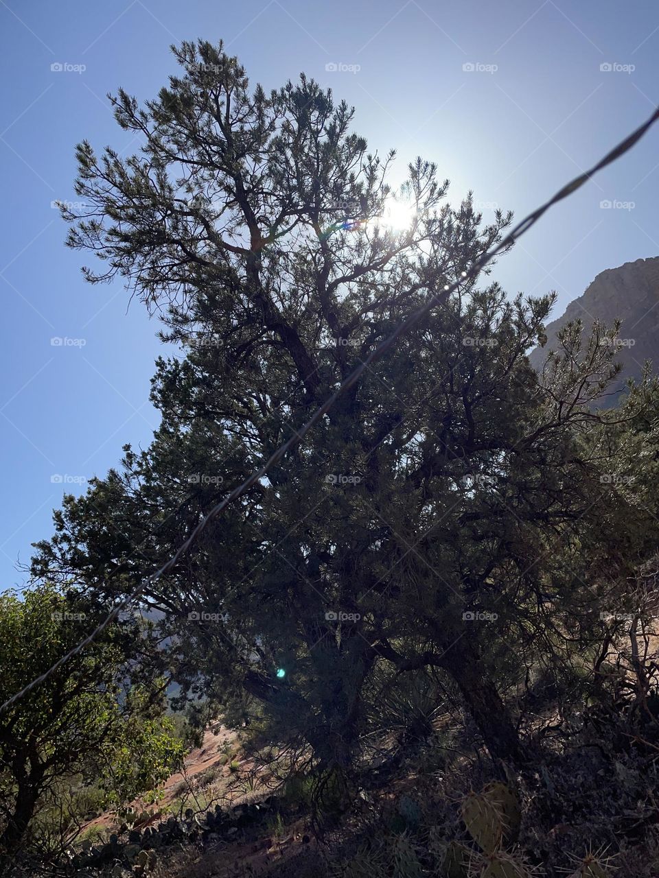 Beautiful combination of nature!!!