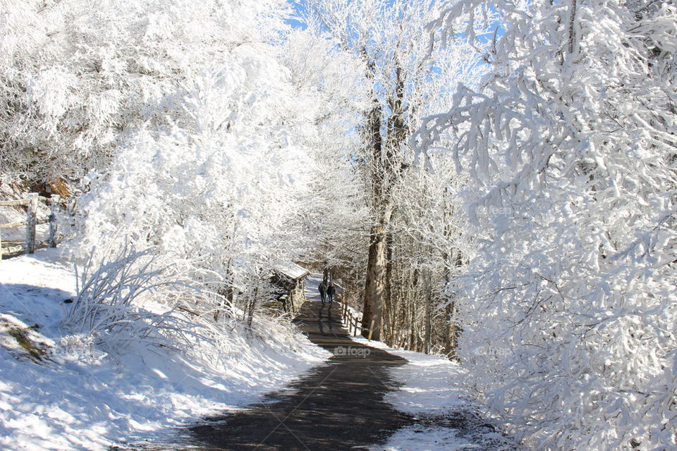 Two person walking in winter