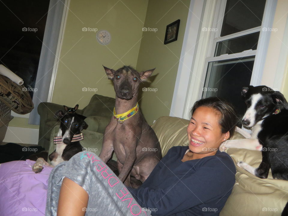 Asian woman with dogs at home