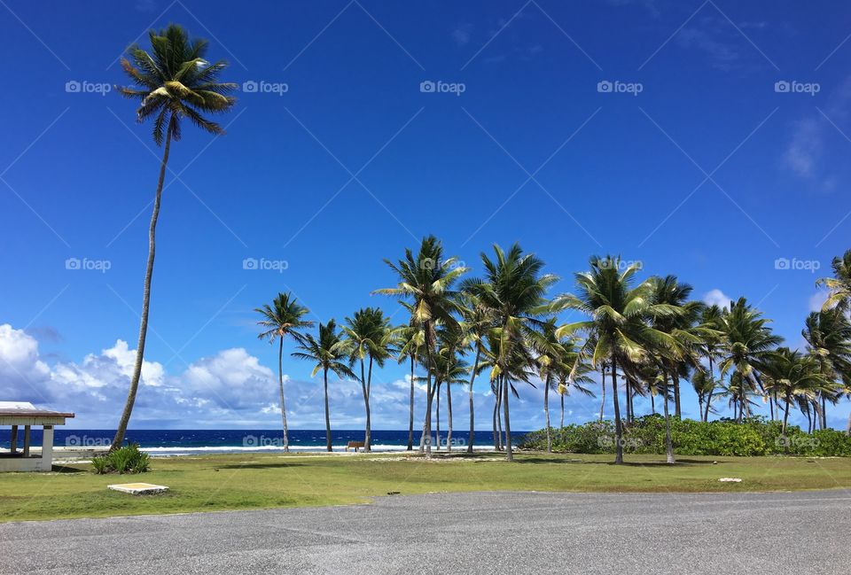 Beach view 