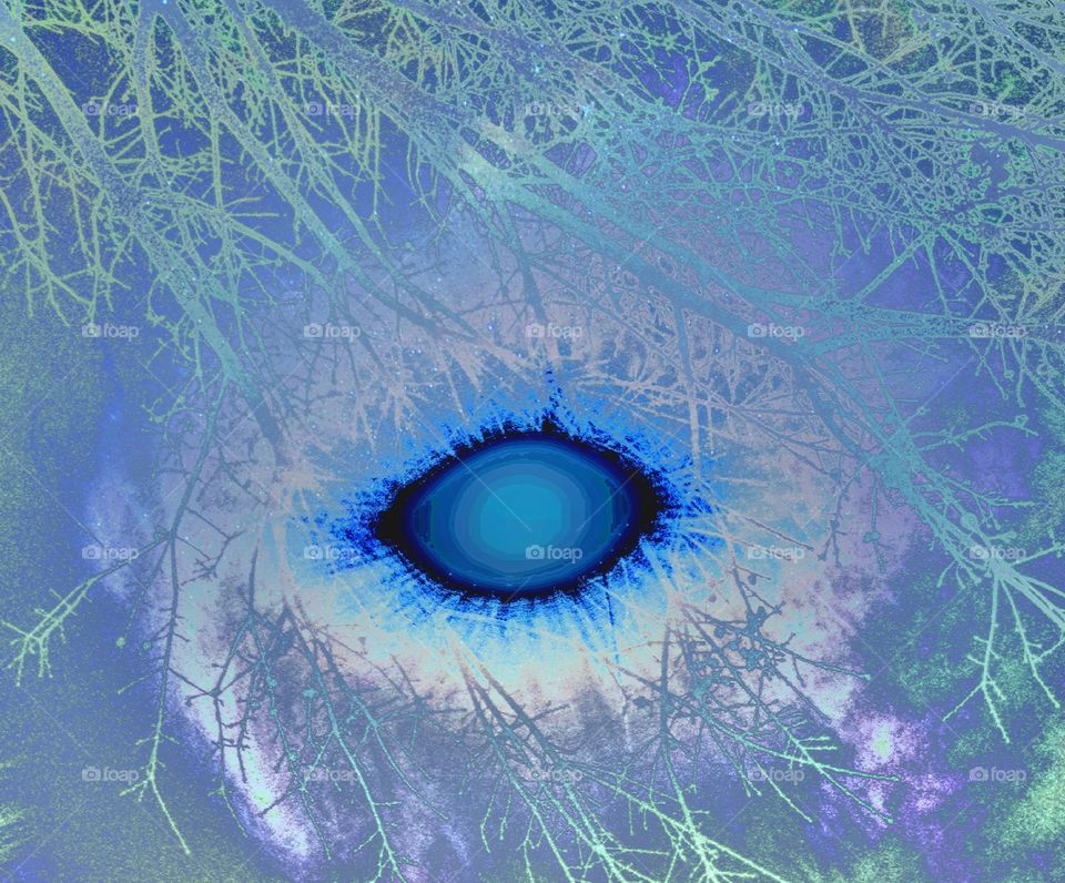 Nature's Eye