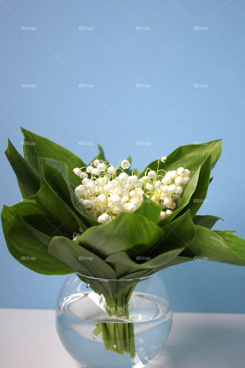 A bouquet of lilies of the valley