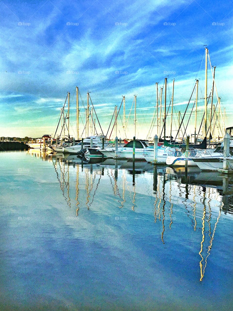 Boats docked 