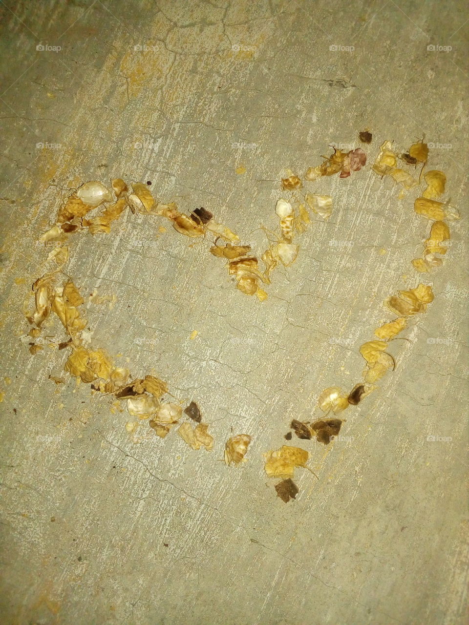 Peanut shells.