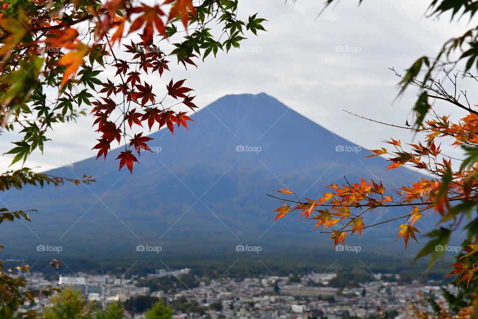 Fall in Mount Fuji