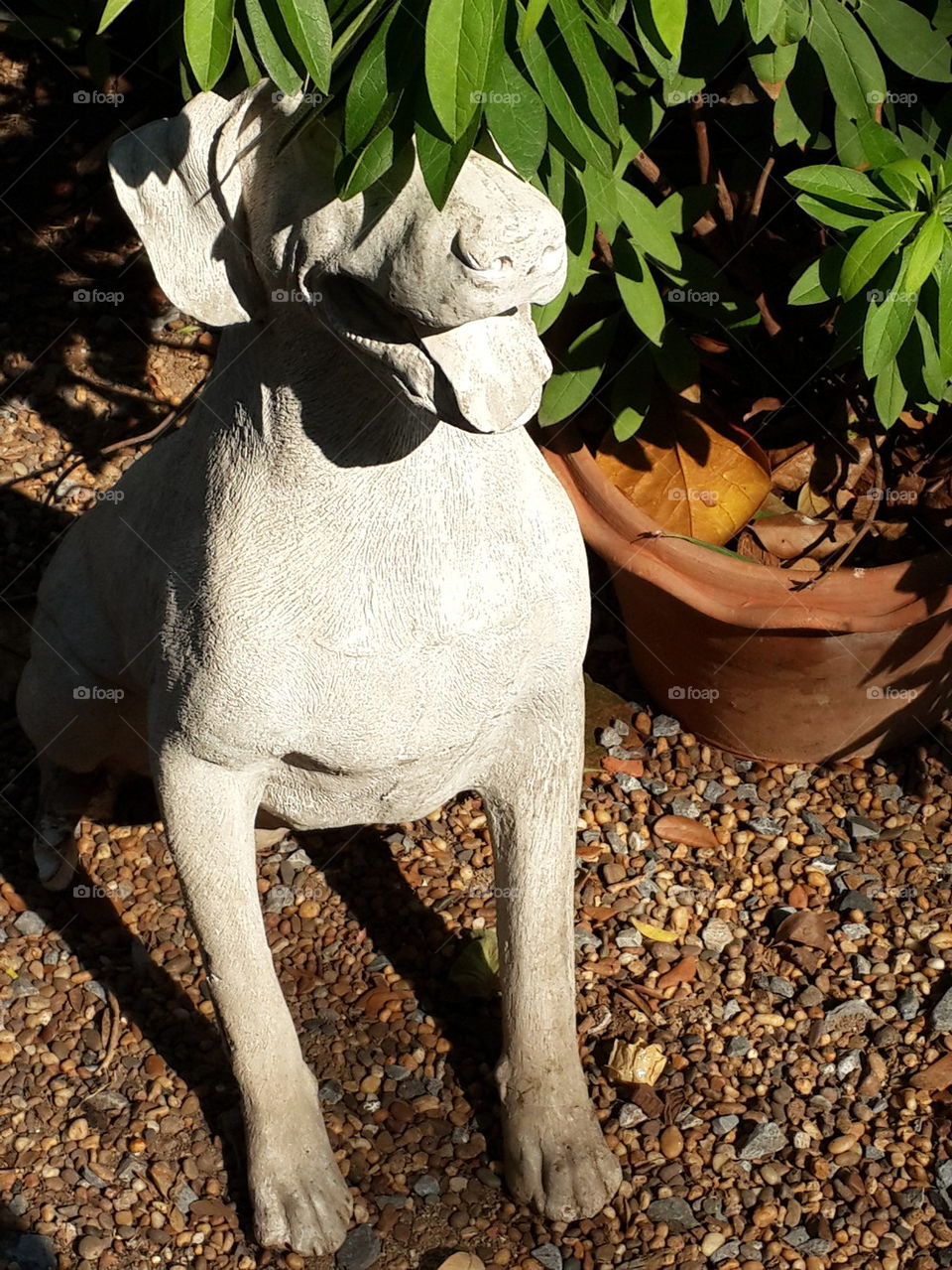 dog statue in english garden