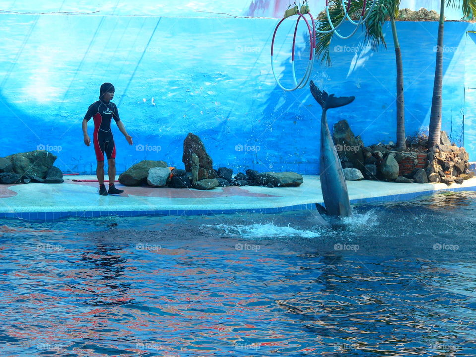 Swimming, Water, Underwater, Ocean, Sea