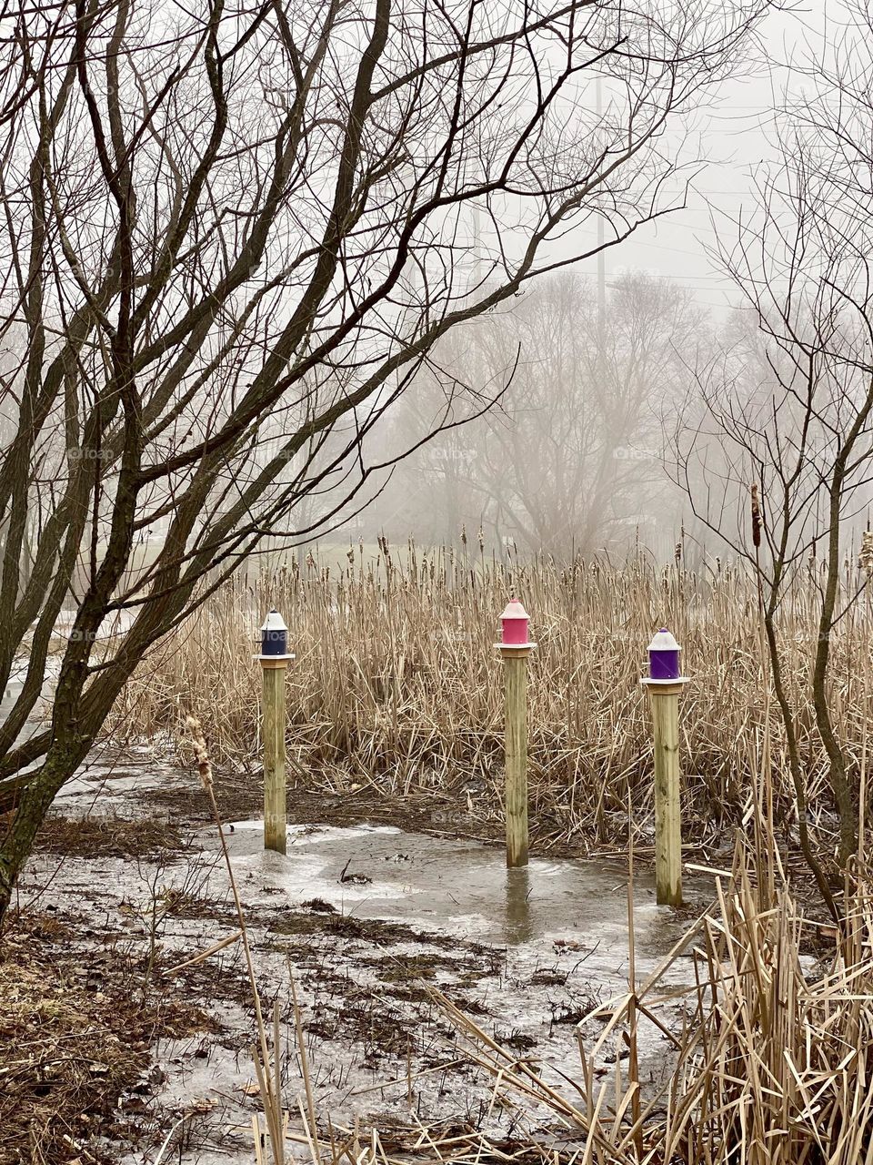 Three brightly colored birdhouses sticking out of the ice on a frozen pond on a foggy winter morning